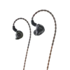 Fiio FD1 Beryllium-Plated Single Dynamic IEM