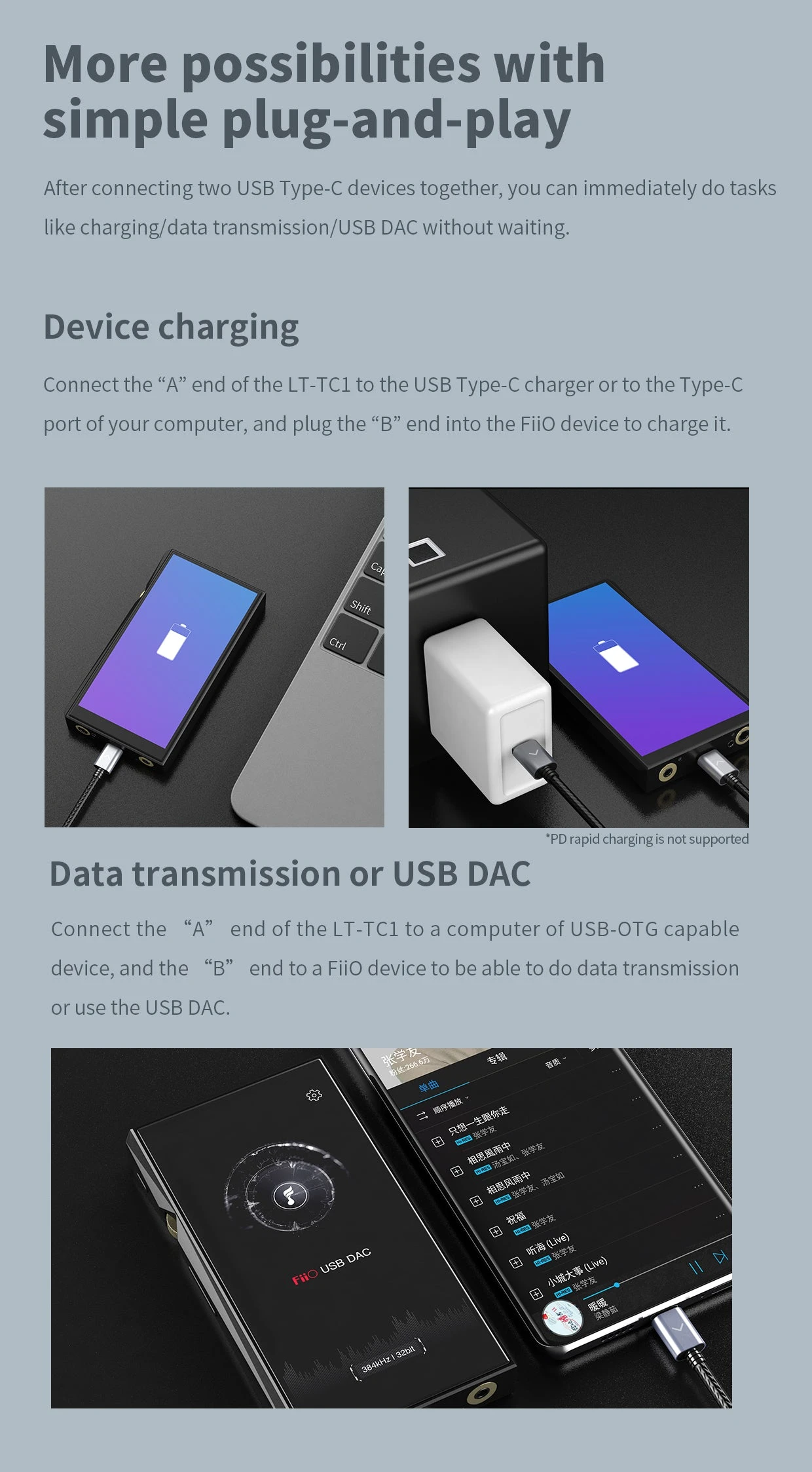 FiiO LT-TC1 Type-C To Type-C USB Cable 10 FiiO LT-TC1 Type-C To Type-C USB Cable - Image 10